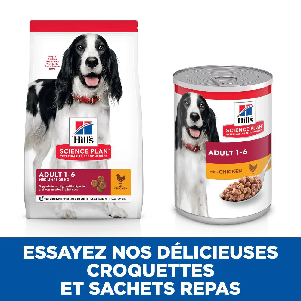 HILL'S Science Plan Medium Adulte au Poulet - Croquettes pour chien – Image 4