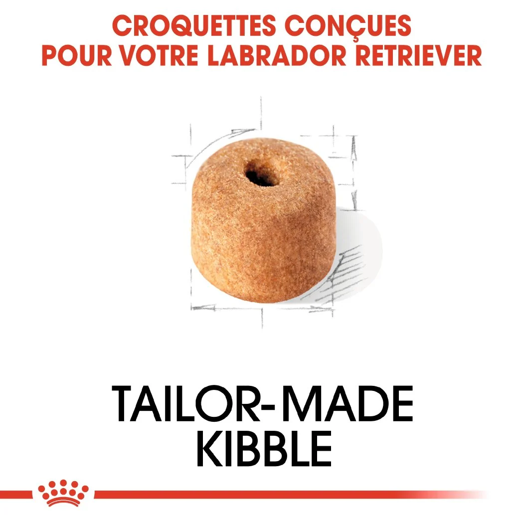 Royal Canin Labrador Retriever Adult - Croquettes pour chien – Image 4