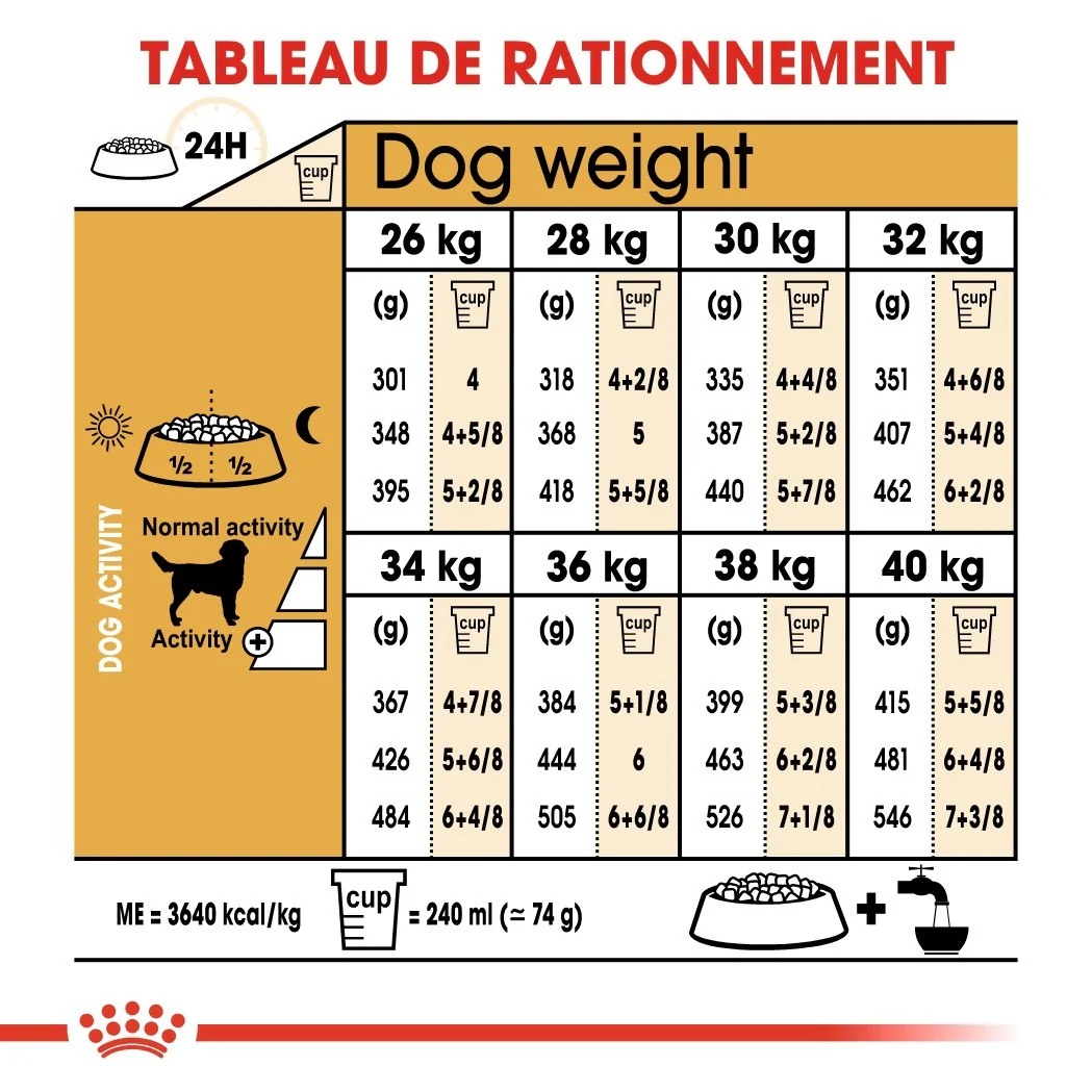 Royal Canin Labrador Retriever Adult - Croquettes pour chien – Image 5