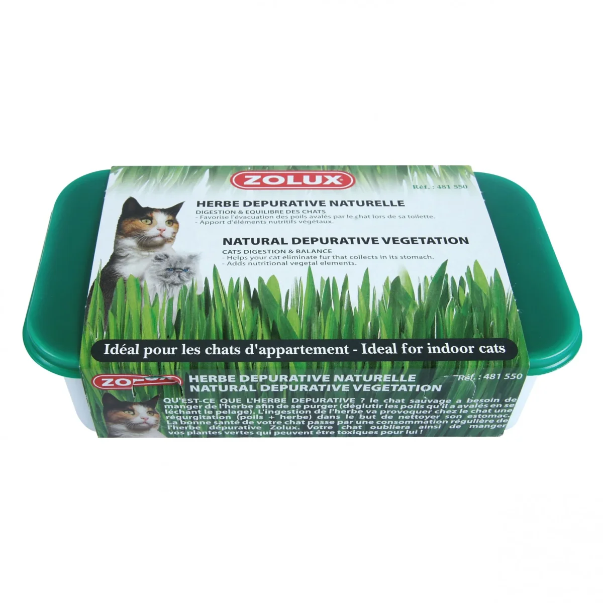 Herbe à chat dépurative naturelle – Image 2