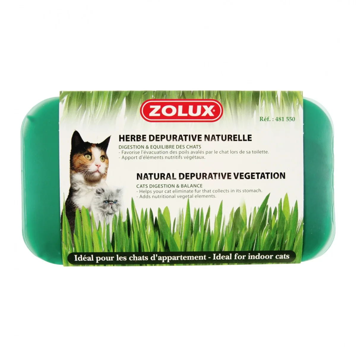 Herbe à chat dépurative naturelle – Image 3