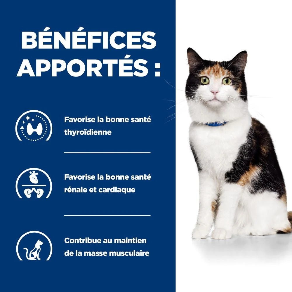 HILL'S Prescription Diet y/d Thyroid Care en terrine au Poulet - Pâtée pour chat – Image 5