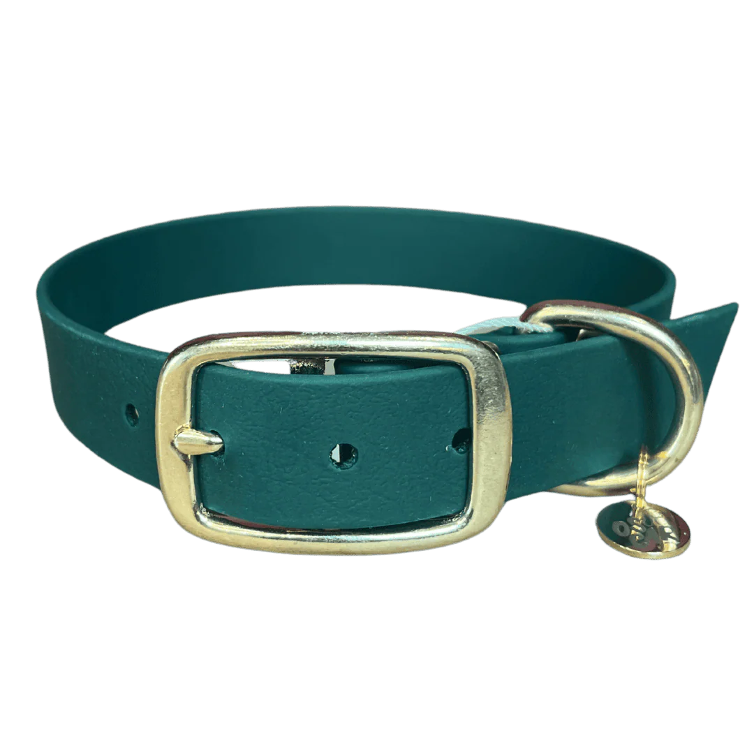 Collier chien biothane - Emeraude